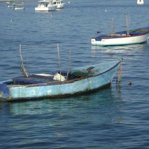 Meet your Posher, Paula